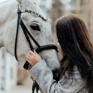 abrra_sh