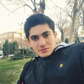 amir_hamedan