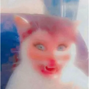 wiiin