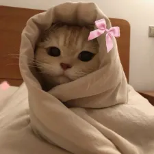 japinhaa_7z