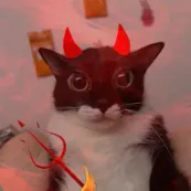 kittensoul