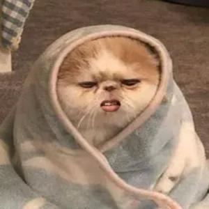 abo