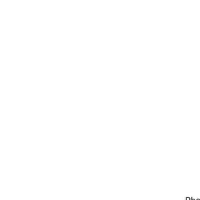 xmcmxcviii