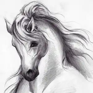 handoda22